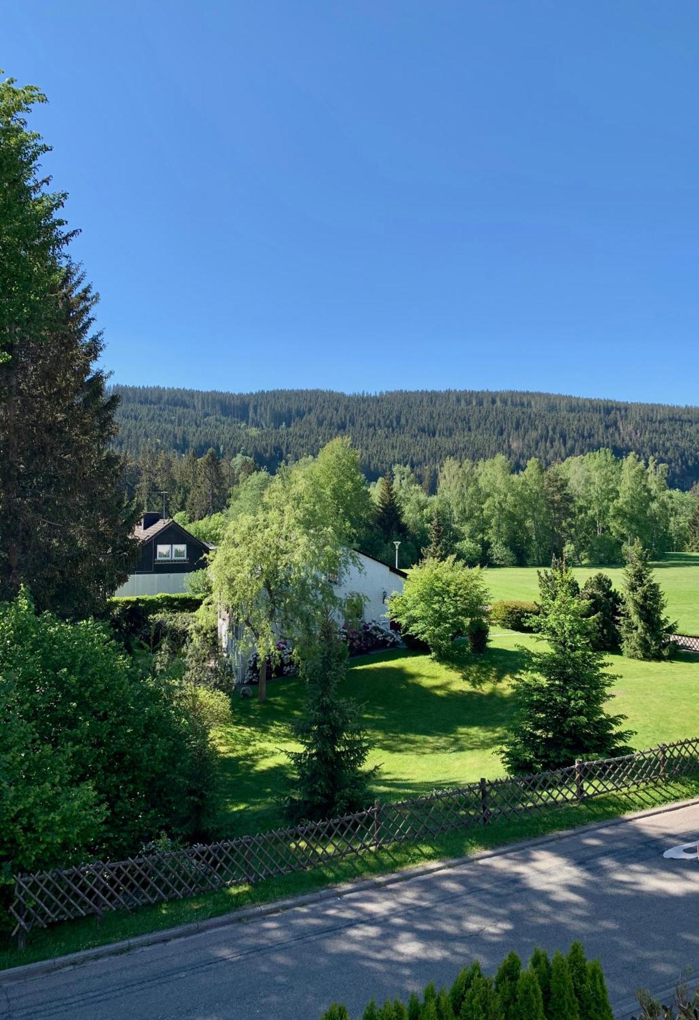 Ferienwohnung Homburger - Titisee Ngoại thất bức ảnh