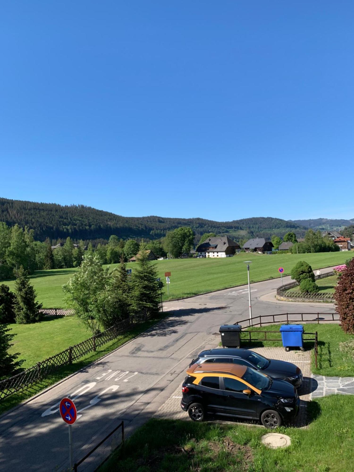 Ferienwohnung Homburger - Titisee Ngoại thất bức ảnh