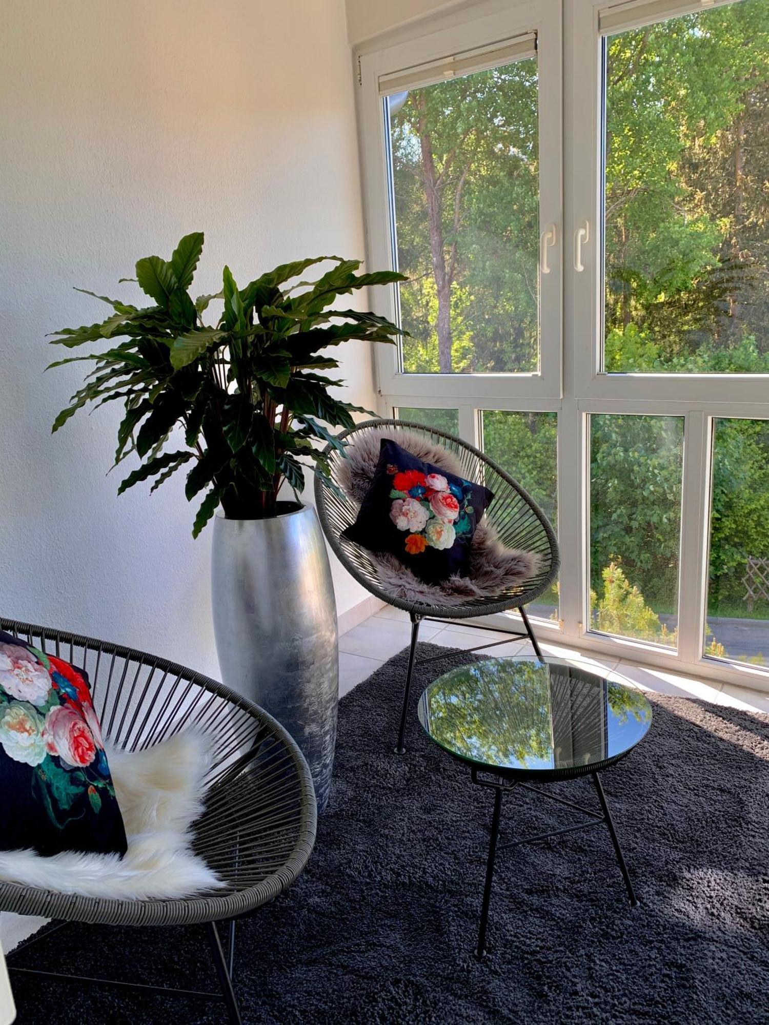 Ferienwohnung Homburger - Titisee Ngoại thất bức ảnh